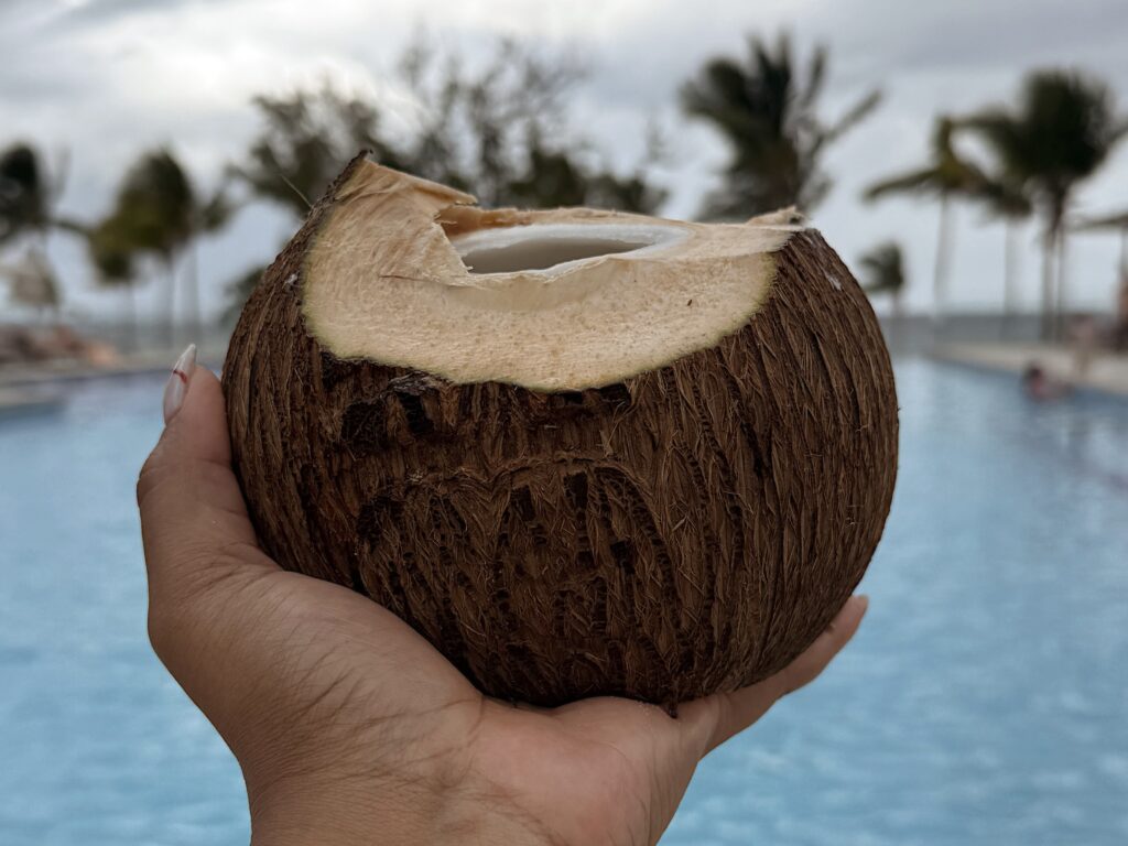 Jelly coconuts at Riu Ocho Rios.